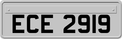ECE2919