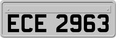 ECE2963