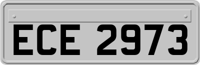 ECE2973
