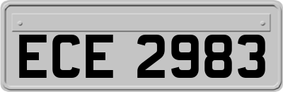 ECE2983