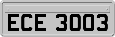 ECE3003
