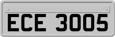 ECE3005