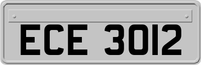 ECE3012