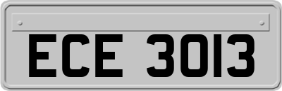 ECE3013