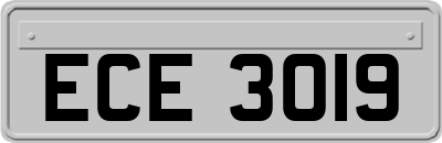 ECE3019