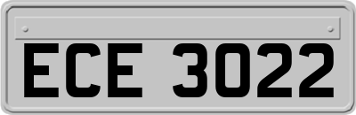 ECE3022