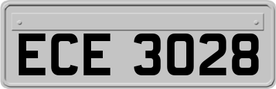 ECE3028
