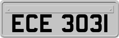 ECE3031