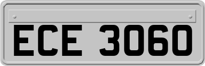 ECE3060