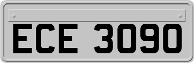 ECE3090