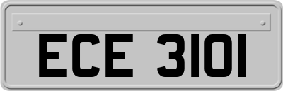 ECE3101