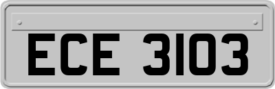 ECE3103