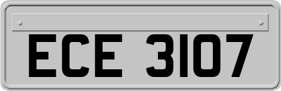ECE3107