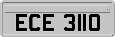 ECE3110