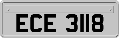 ECE3118