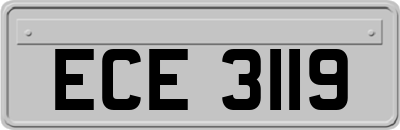 ECE3119