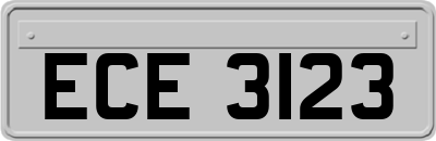 ECE3123