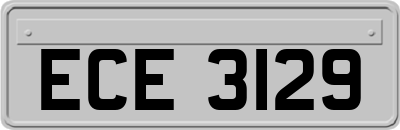 ECE3129