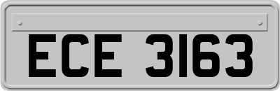ECE3163