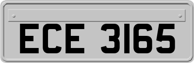 ECE3165