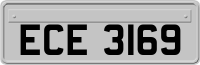 ECE3169