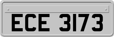 ECE3173