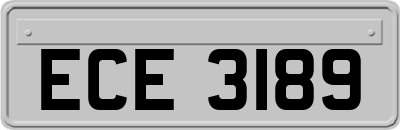 ECE3189