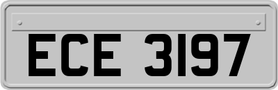 ECE3197