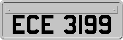 ECE3199