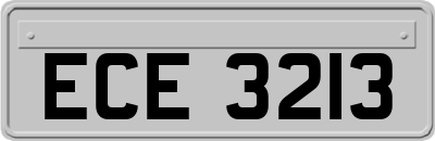 ECE3213