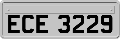 ECE3229