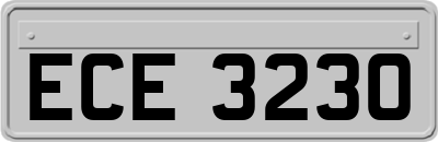 ECE3230