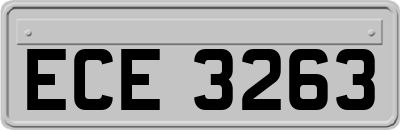 ECE3263
