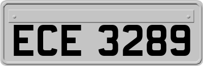 ECE3289