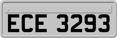 ECE3293
