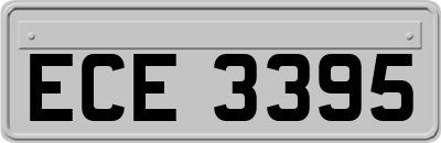 ECE3395