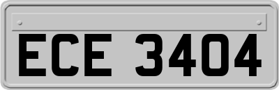 ECE3404