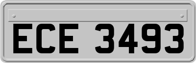 ECE3493