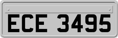 ECE3495