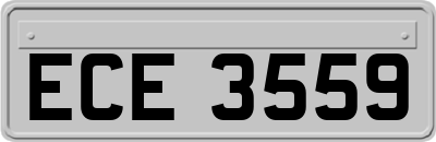 ECE3559