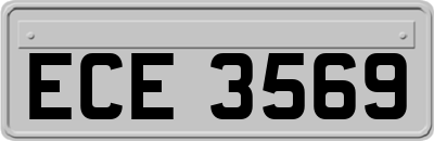 ECE3569