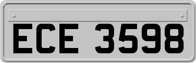 ECE3598