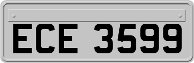 ECE3599