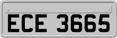 ECE3665
