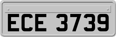 ECE3739