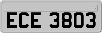 ECE3803