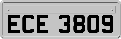 ECE3809