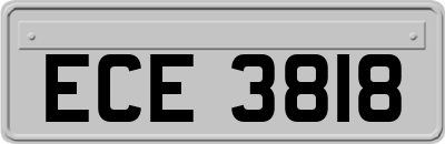 ECE3818