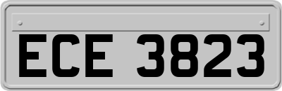 ECE3823