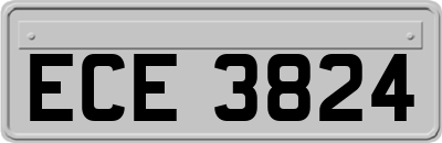 ECE3824